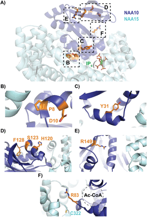 Figure 4.