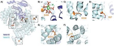 Figure 5.