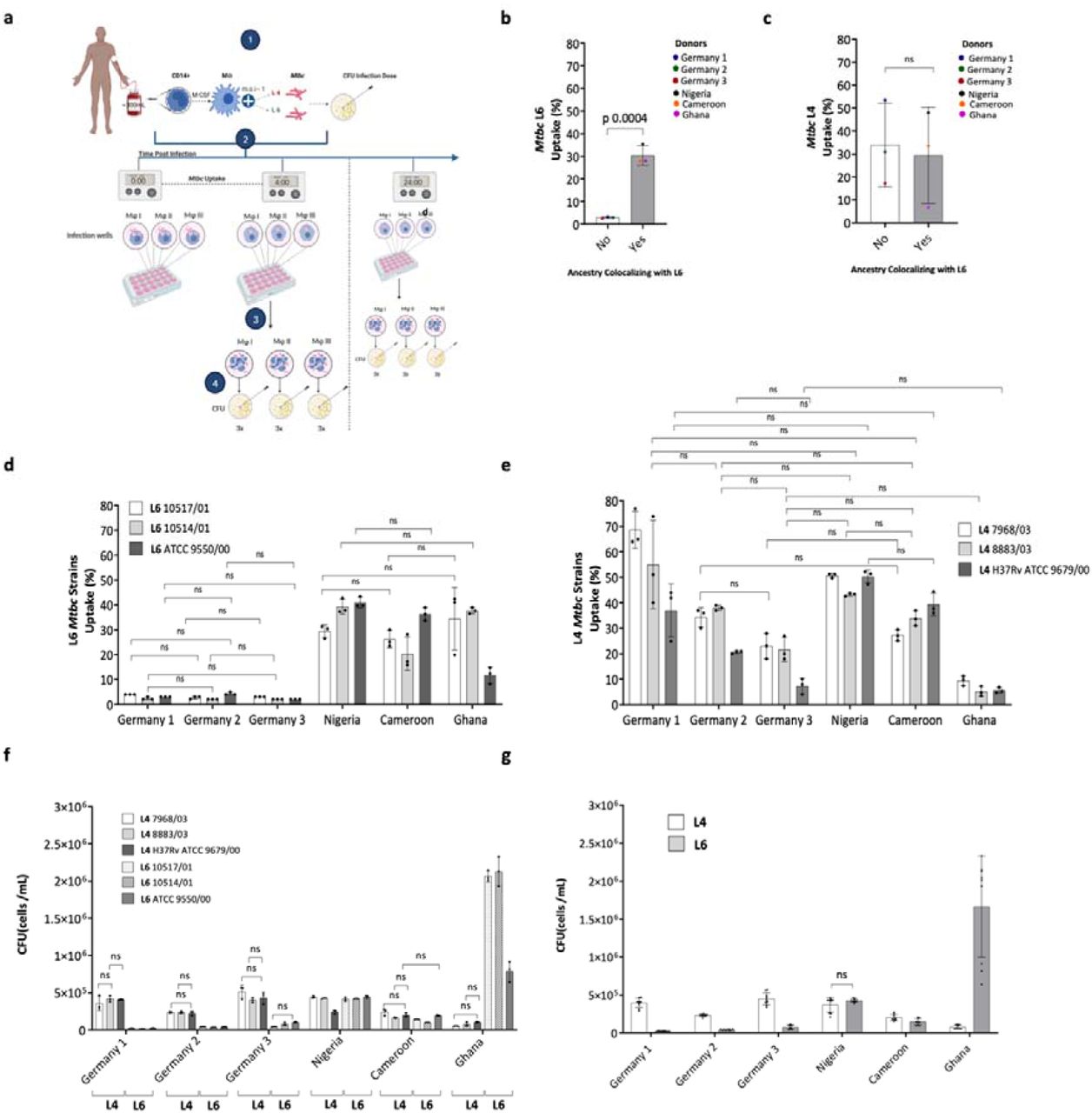 Host-pathogen sympatry and differential transmissibility of