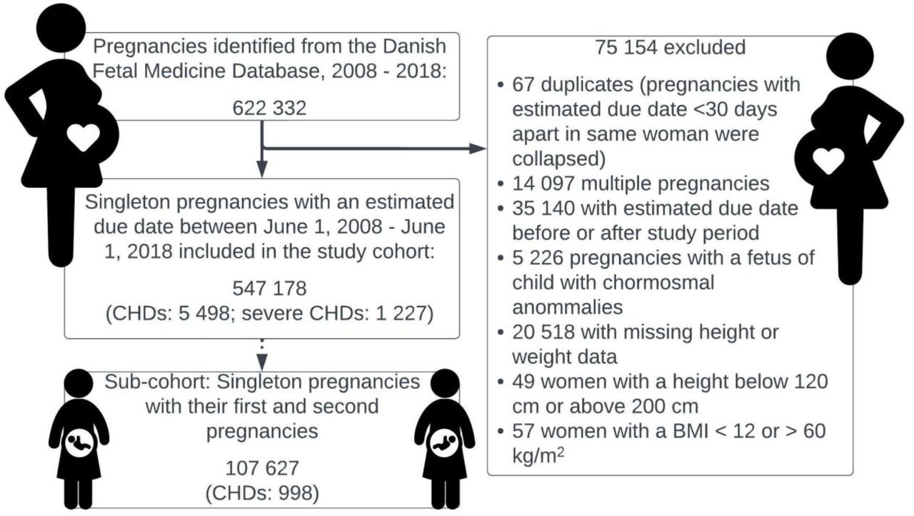 Maternal obesity, interpregnancy weight changes and congenital ...