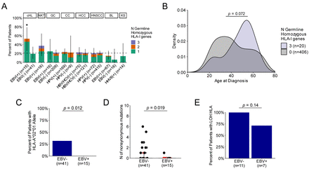 Figure 6: