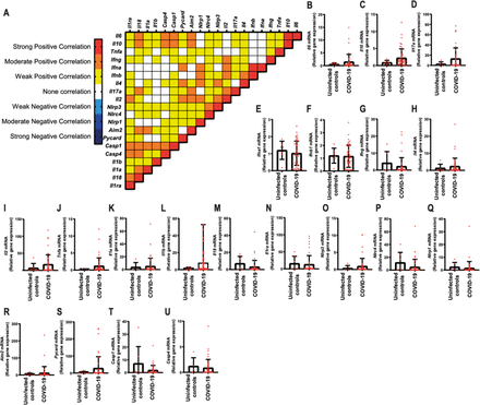 Supplementary Fig. 5.