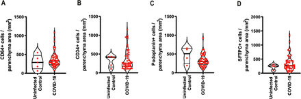 Supplementary Fig. 2.