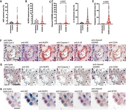 Supplementary Fig. 3.