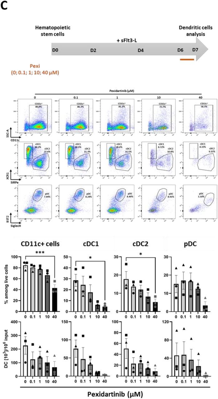 The CSF-1R inhibitor Pexidartinib impacts dendritic cell