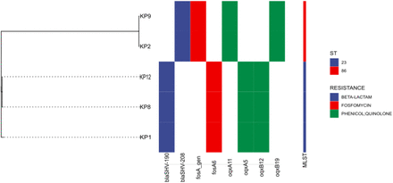 Figure 1: