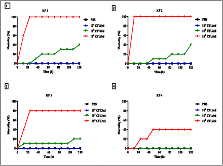 Figure 2: