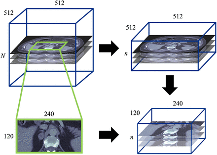 Figure 1: