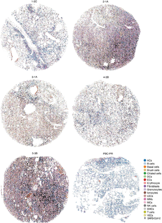 Supplementary Figure 9: