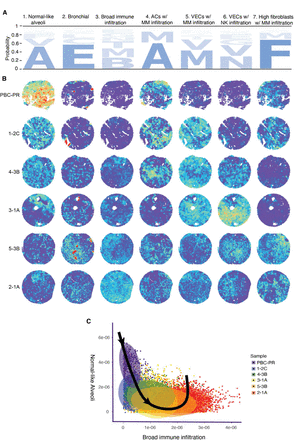 Figure 5: