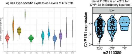 Figure 9.