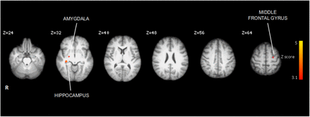 Supplementary Figure 1.