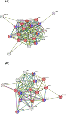 Figure 6.