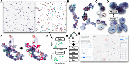 Figure 1: