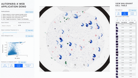 Supplementary Figure 7: