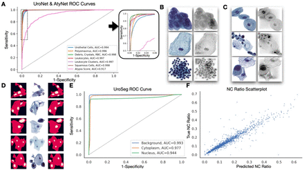 Figure 3: