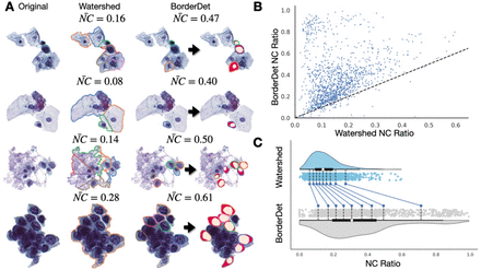 Figure 4: