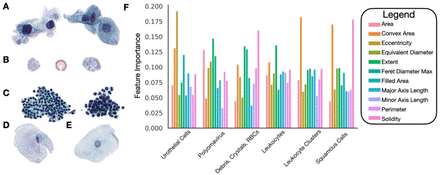 Supplementary Figure 1: