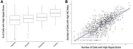 Supplementary Figure 4: