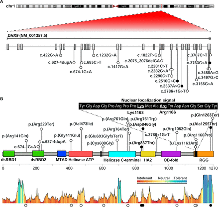 Figure 3: