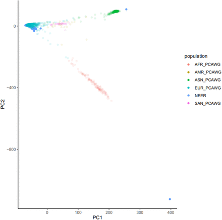 Supplementary Figure 1.