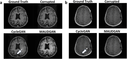 Fig 6: