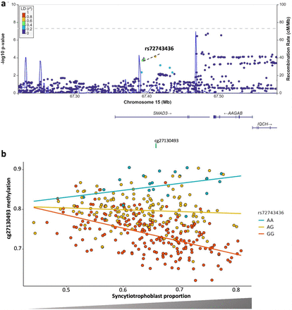 Figure 6.