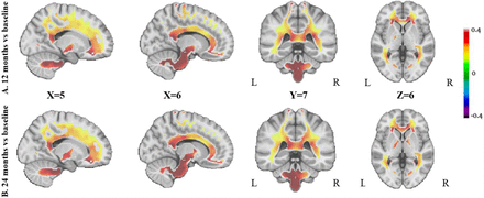 Fig 1.