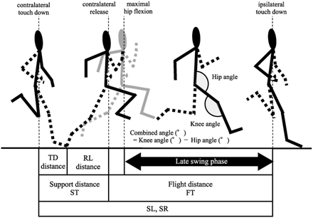 Fig 1.