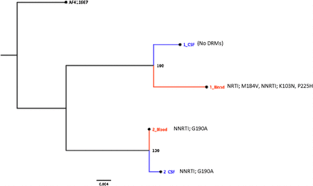 Figure 2: