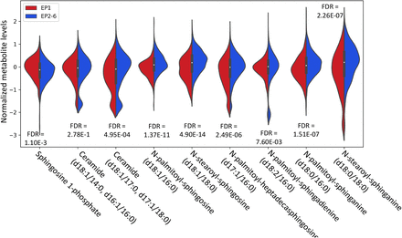 Figure 5: