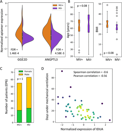 Figure 6: