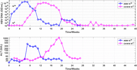 Figure 6: