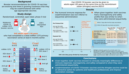 No Immunological Interference Or Safety Concerns When Adjuvanted   F1.medium 