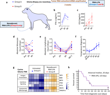 Fig. 3: