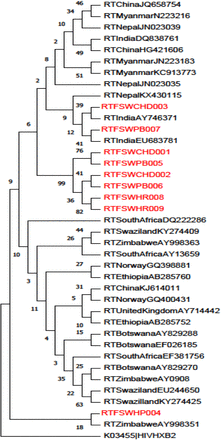 Figure 1: