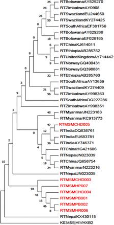 Figure 2: