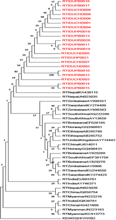 Figure 3: