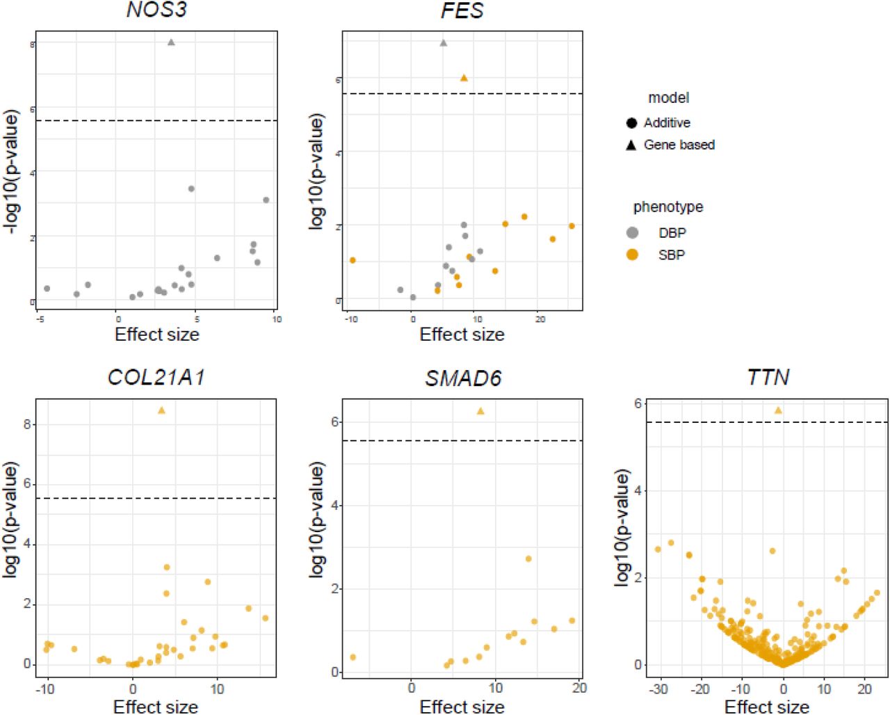Allele frequency and effect sizes for genetic variants associated