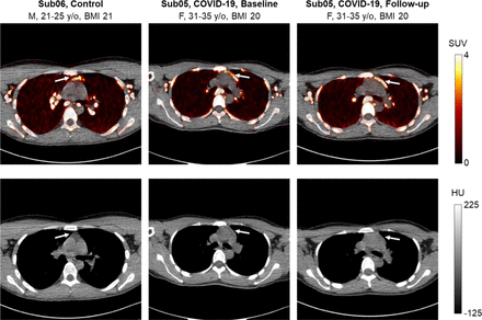 Fig. 7.