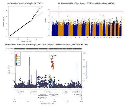 Figure 1.