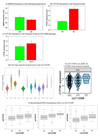 Figure 5.