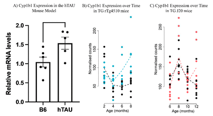 Figure 6.