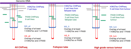 Figure 1: