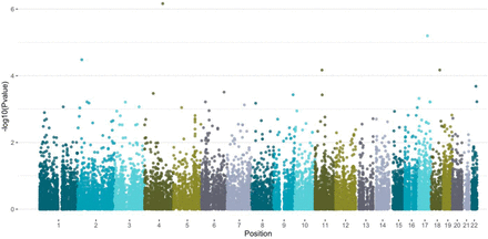 Figure 1: