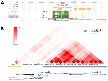 Figure 2: