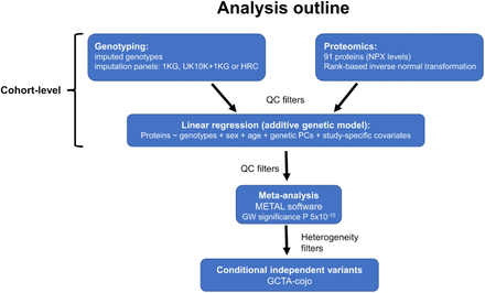 Supplementary Figure 1.