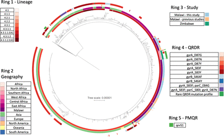 Figure 4: