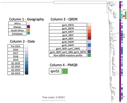 Figure 5: