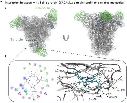 FIGURE 7.